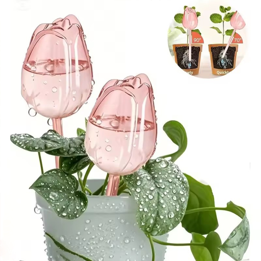 Self Watering Planter - Transparent Thick PET Tulip Shaped Self