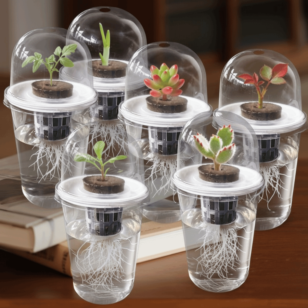 Seed Starter Tray - 1-5pc Visible Clear Plants Germination Cup
