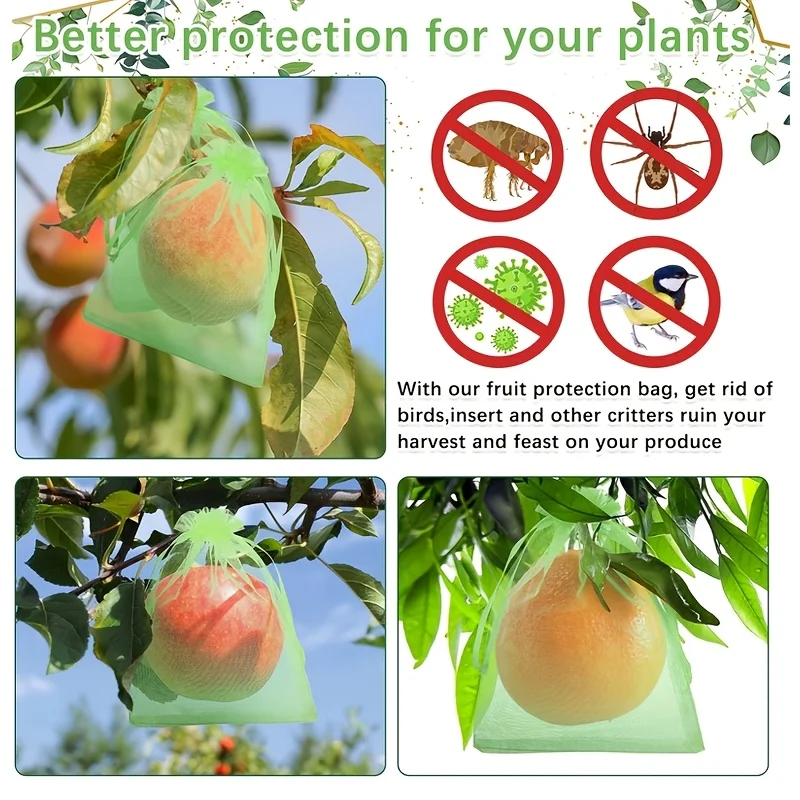 100Pcs Green Protective Bag wi - đánh giá và giá Grow Bag