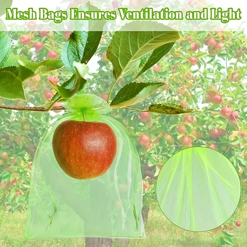 100Pcs Green Protective Bag wi - đánh giá và giá Grow Bag