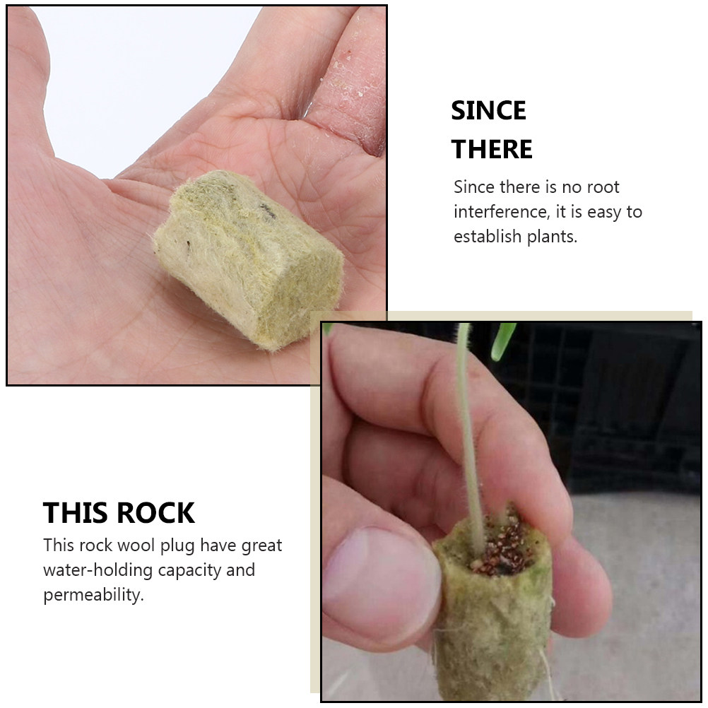 40Pcs Grow Soilless Culture Hy - đánh giá và giá Hydroponic Kit