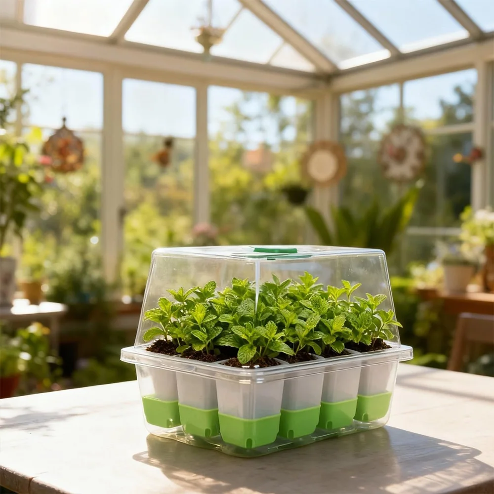 12 cell Seedling Starter Tray  - đánh giá và giá Seed Starter Tray