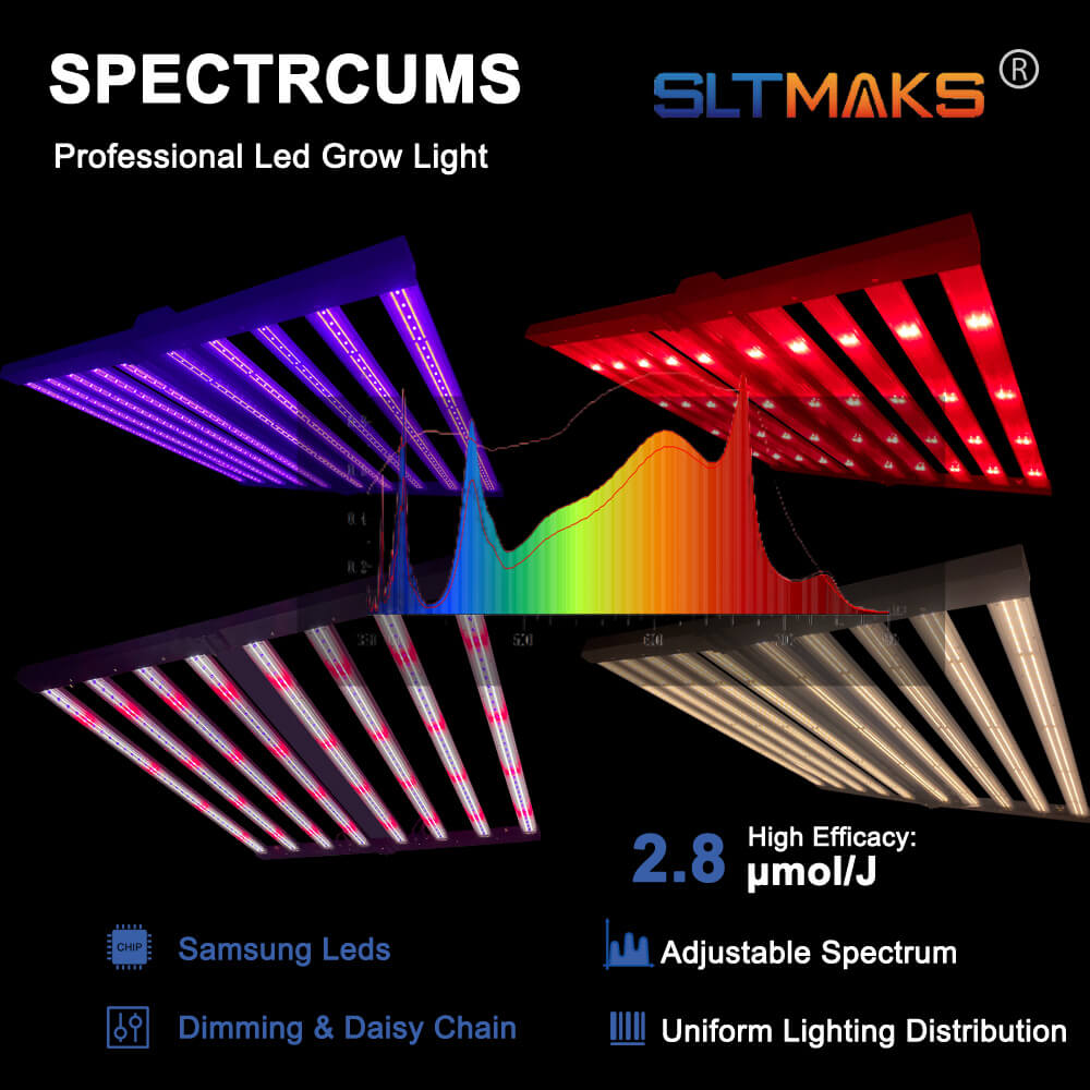 US Stock PPFD 2800 Umol/S Led  - đánh giá và giá Grow Light Led