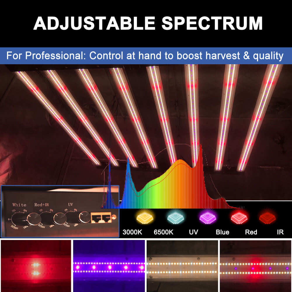 US Stock PPFD 2800 Umol/S Led  - đánh giá và giá Grow Light Led