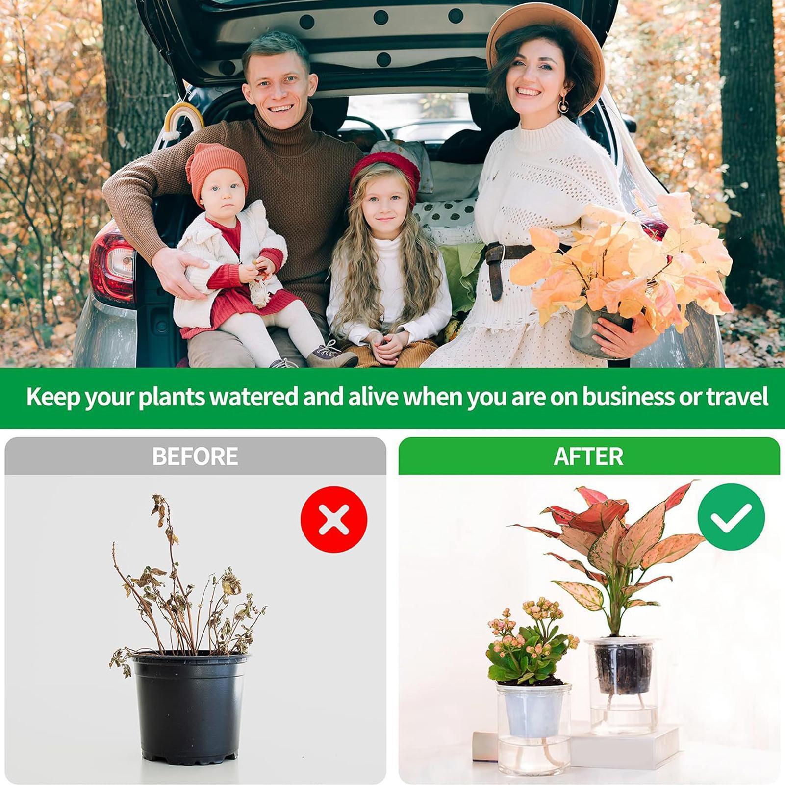 Plant Wicks For Self Watering  - đánh giá và giá Self Watering Planter