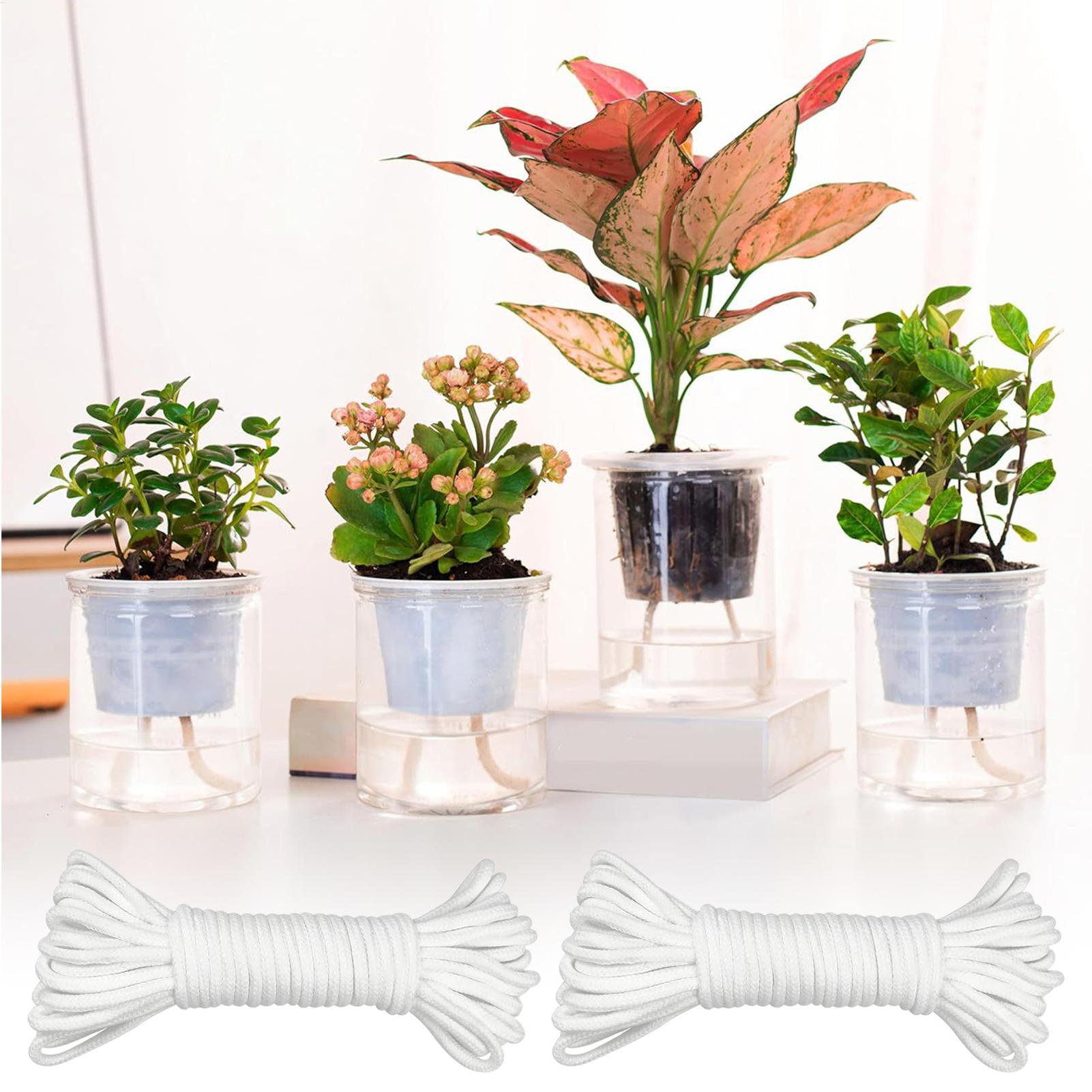 Plant Wicks For Self Watering  - đánh giá và giá Self Watering Planter