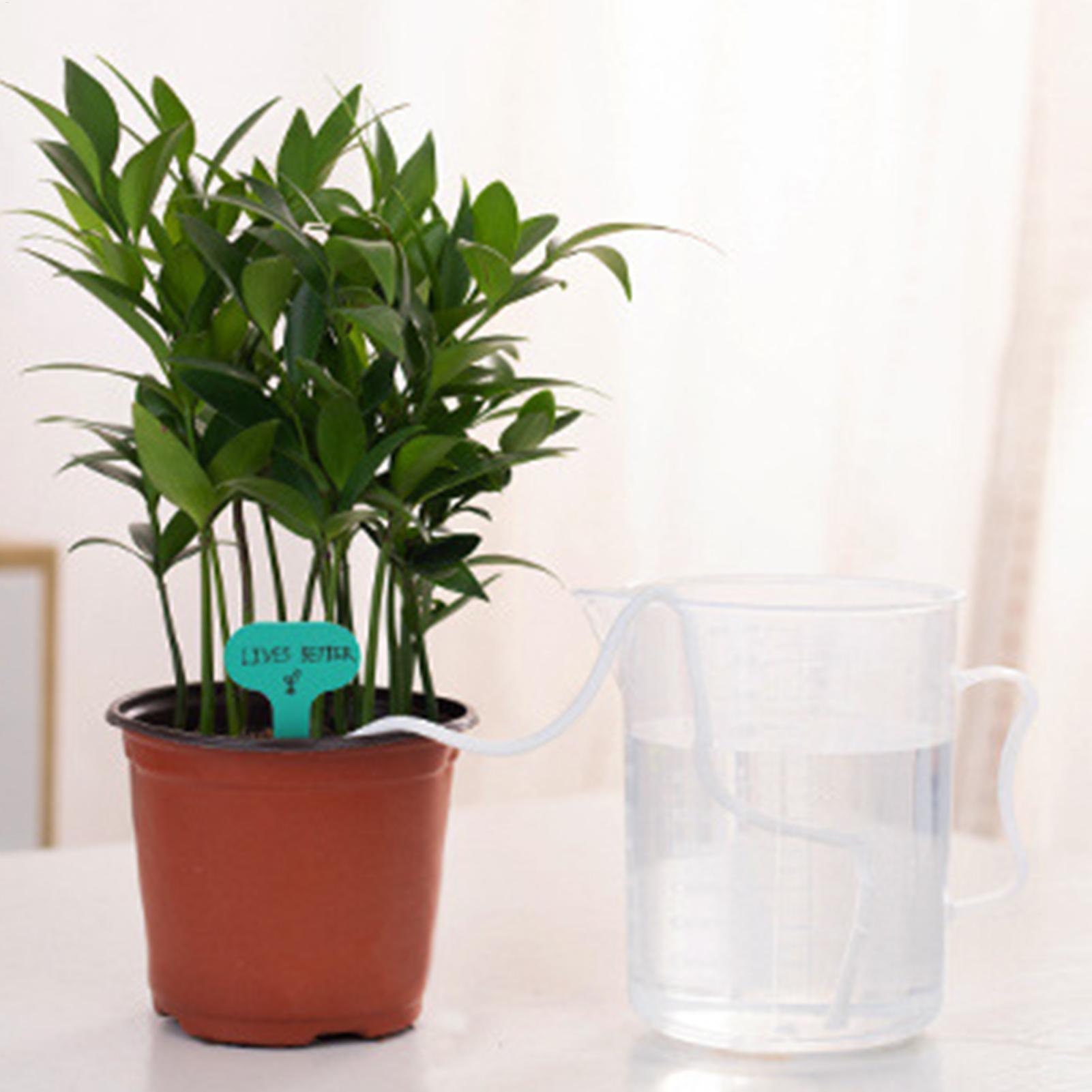 Plant Wicks For Self Watering  - đánh giá và giá Self Watering Planter