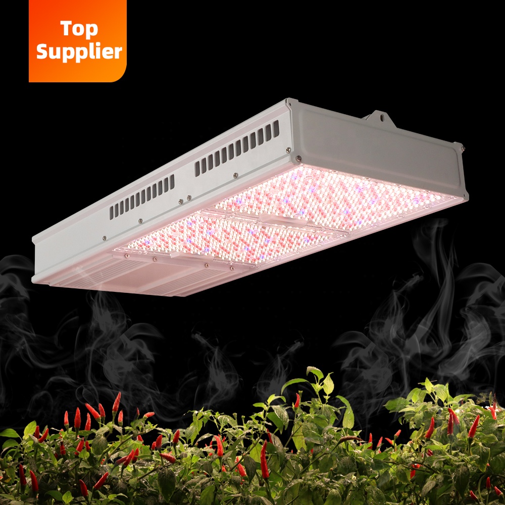 Cost-Effective 600W 800W Topli - đánh giá và giá Grow Light Led