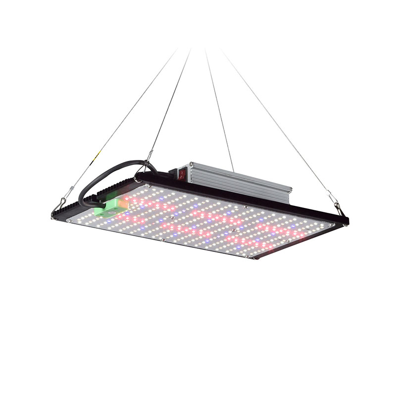 LED Quantum‑Board Grow Light F - đánh giá và giá Grow Light Led