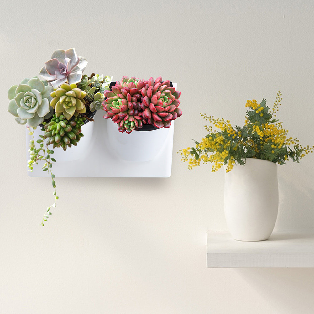 Self Watering Flower Pot Plast - đánh giá và giá Self Watering Planter