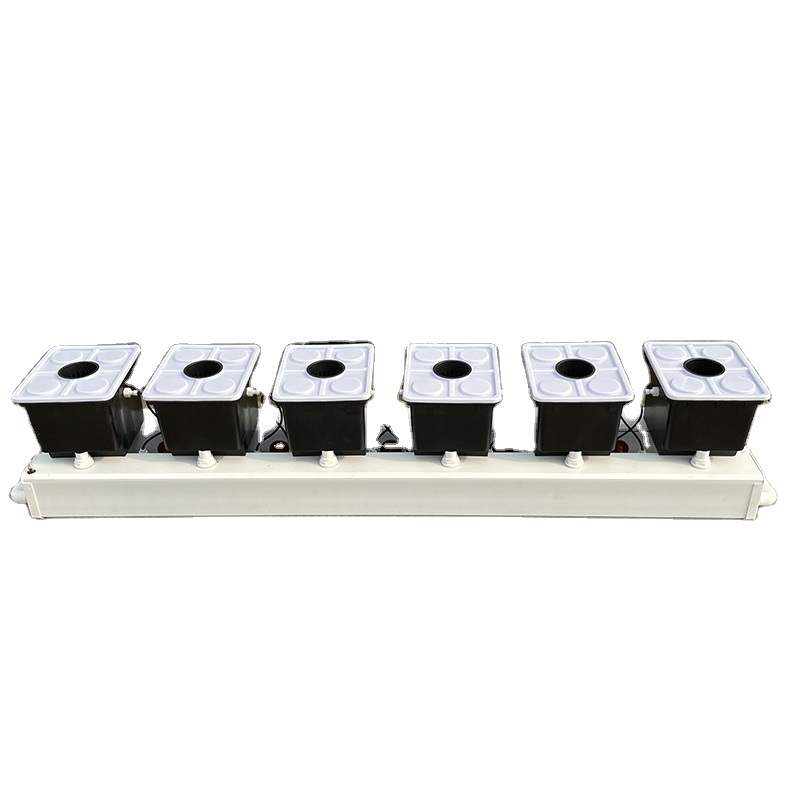 Dutch Bucket Hydroponic System - đánh giá và giá Hydroponic Kit