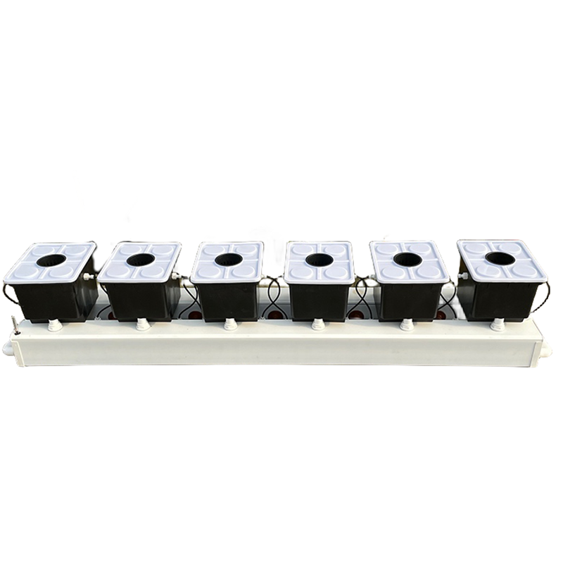 Dutch Bucket Hydroponic System - đánh giá và giá Hydroponic Kit