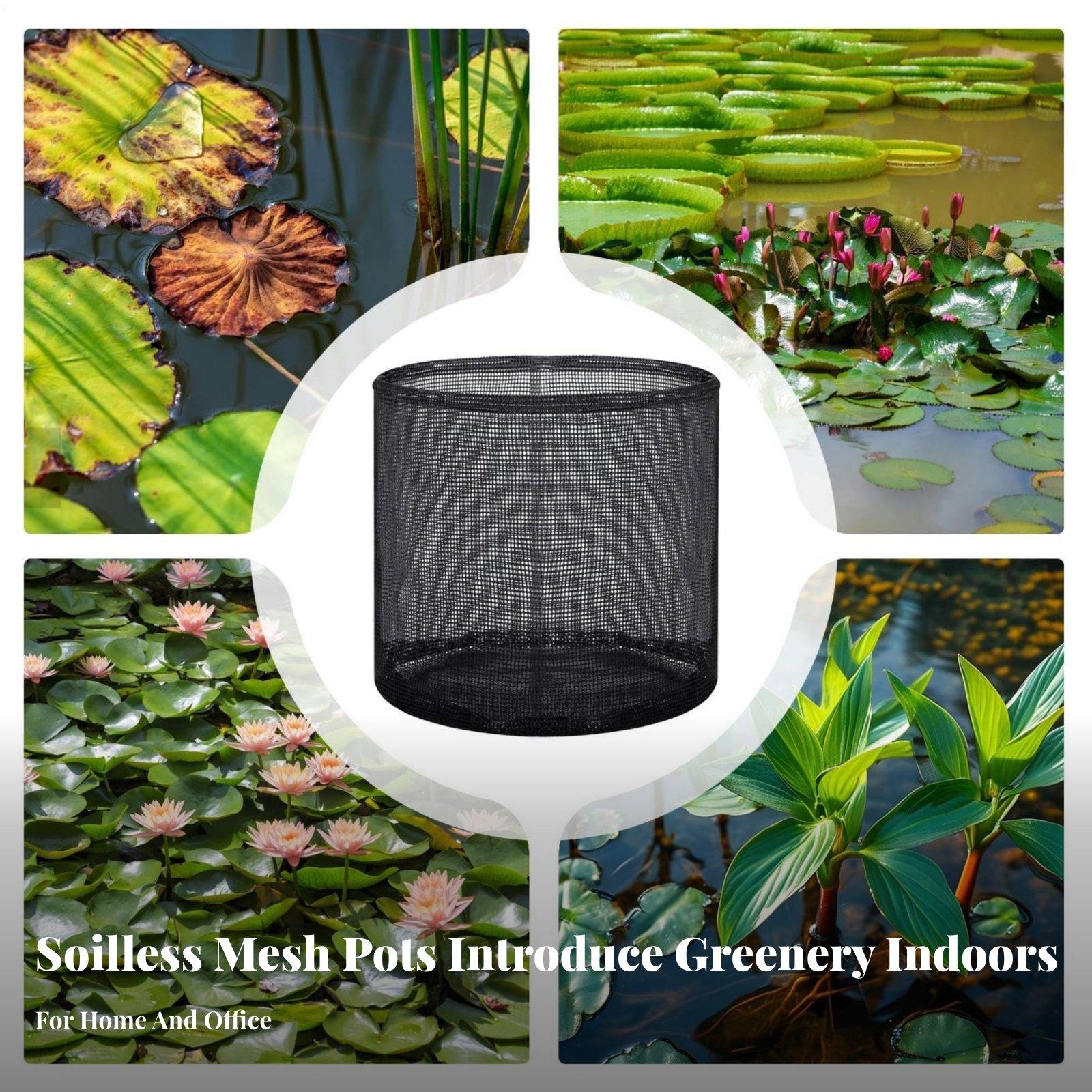 4 Piece Water Lily Planting Po - đánh giá và giá Grow Bag