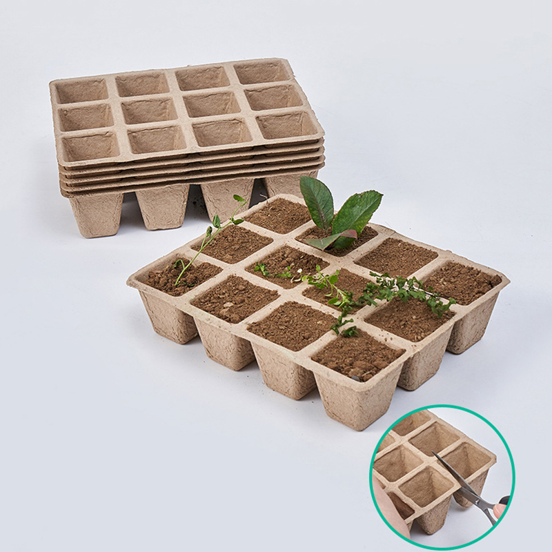 5Pcs 12-Hole Plant Nursery Tra - đánh giá và giá Seed Starter Tray