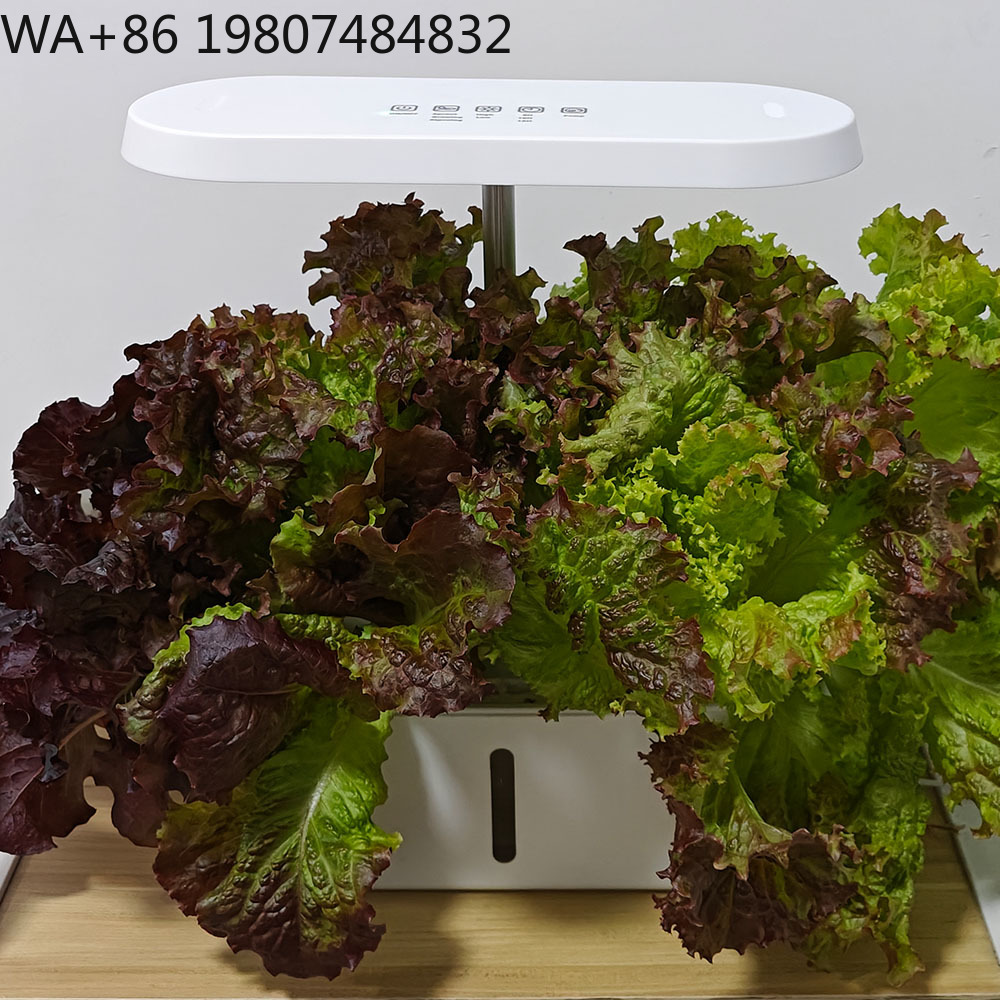 8 Hole Silent Circulation Soil - đánh giá và giá Hydroponic Kit