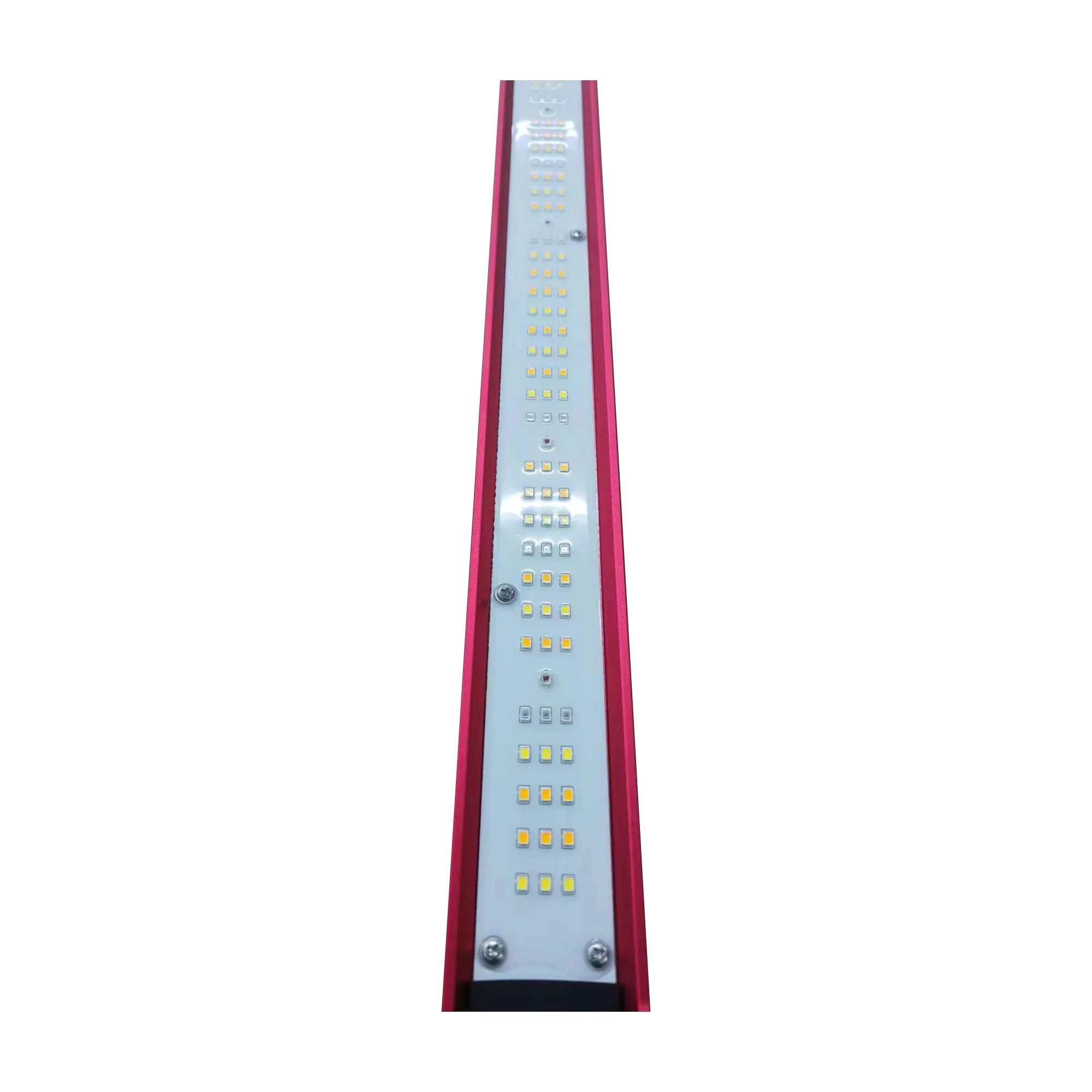 450w 600w 800w 1000Watt Indoor - đánh giá và giá Grow Light Led