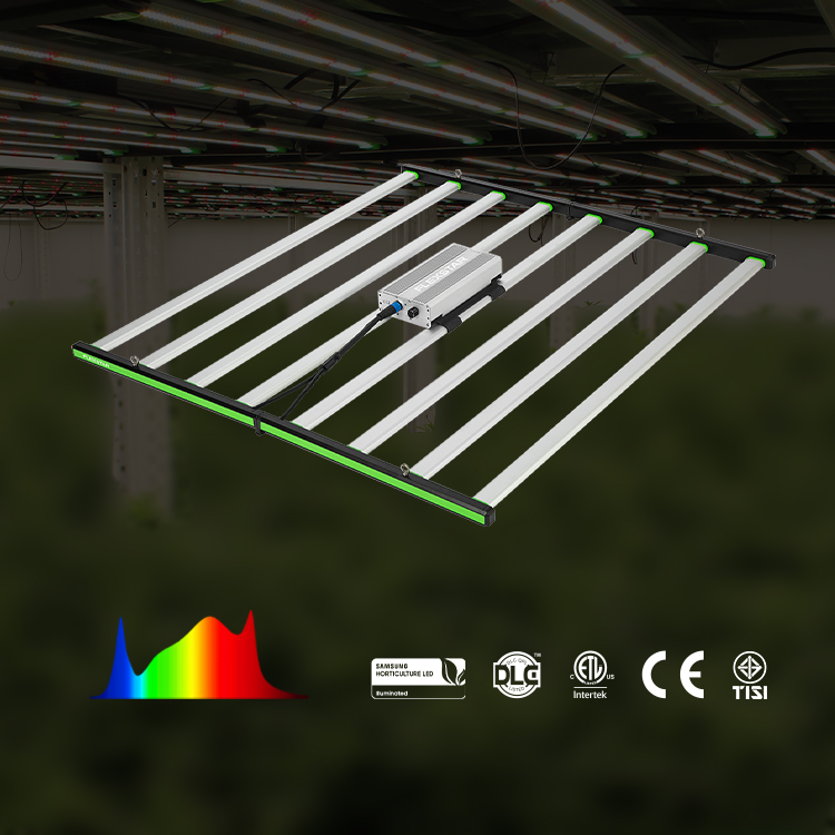 Lm301h Evo 281b Full Spectrum  - đánh giá và giá Grow Light Led