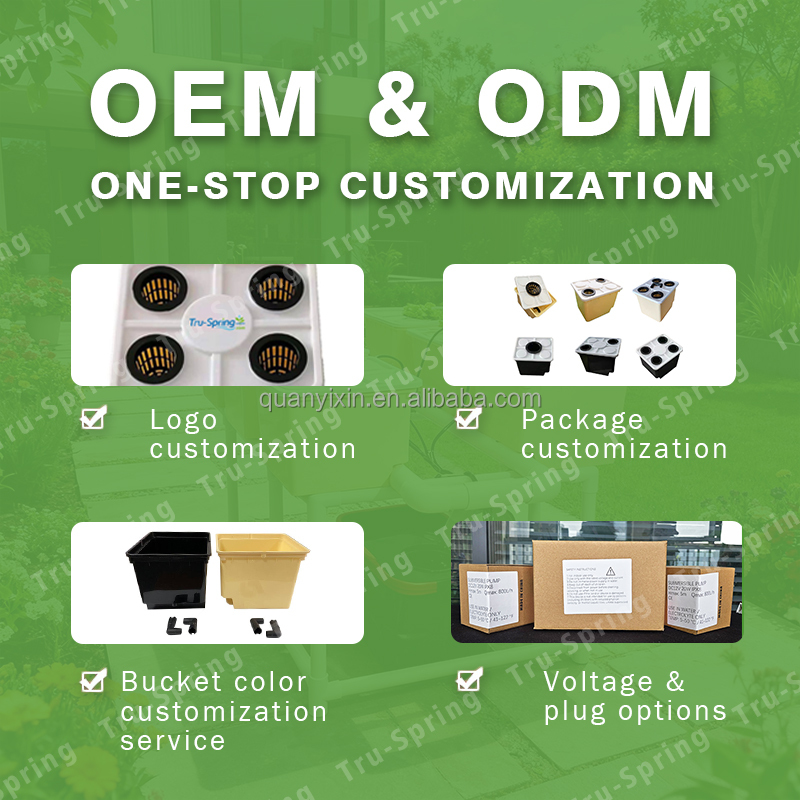 Dutch Bucket Hydroponic System - đánh giá và giá Hydroponic Kit