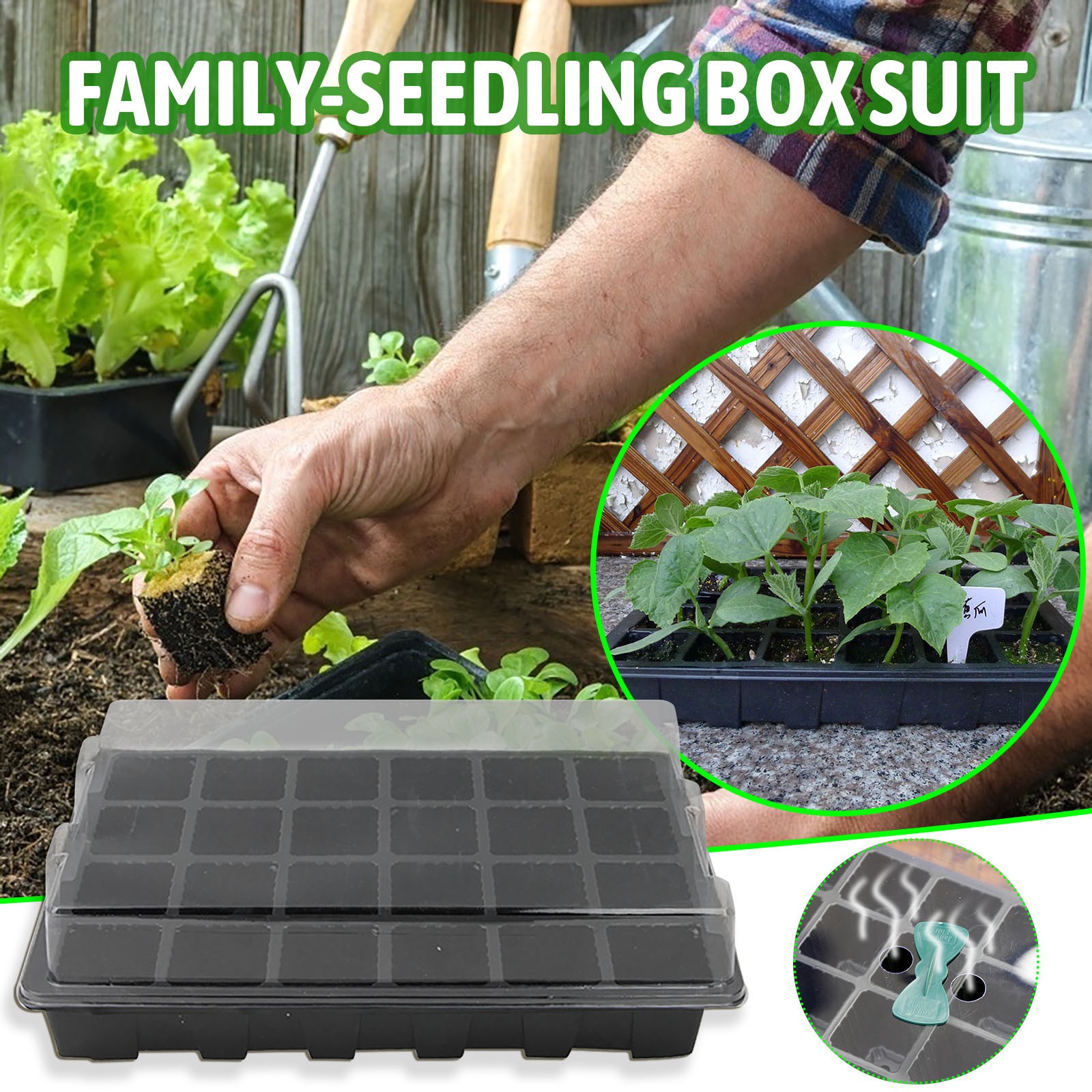 24 Cells Seedling Tray Germina - đánh giá và giá Seed Starter Tray