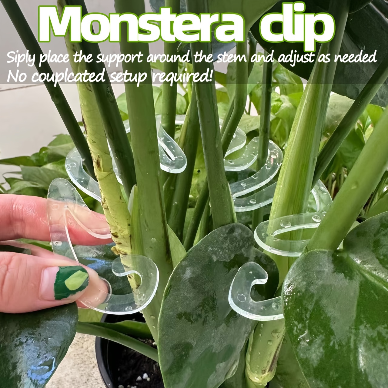 Flexible Plastic Monstera Plan - đánh giá và giá Vertical Planter