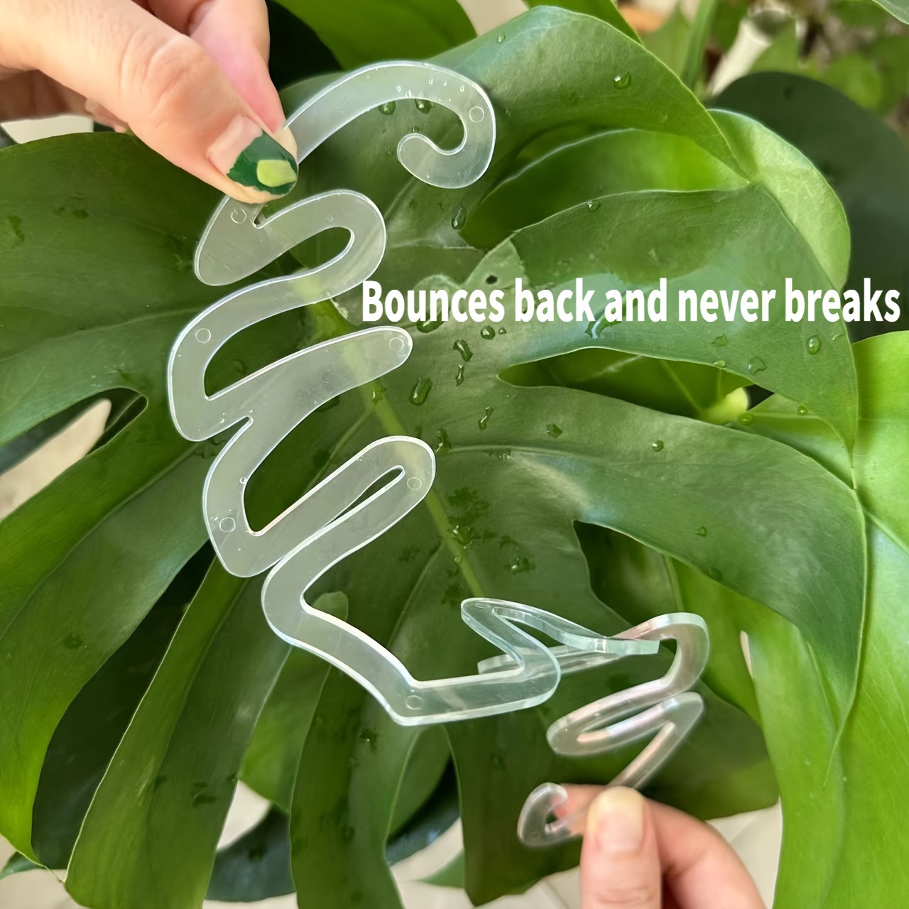 Flexible Plastic Monstera Plan - đánh giá và giá Vertical Planter