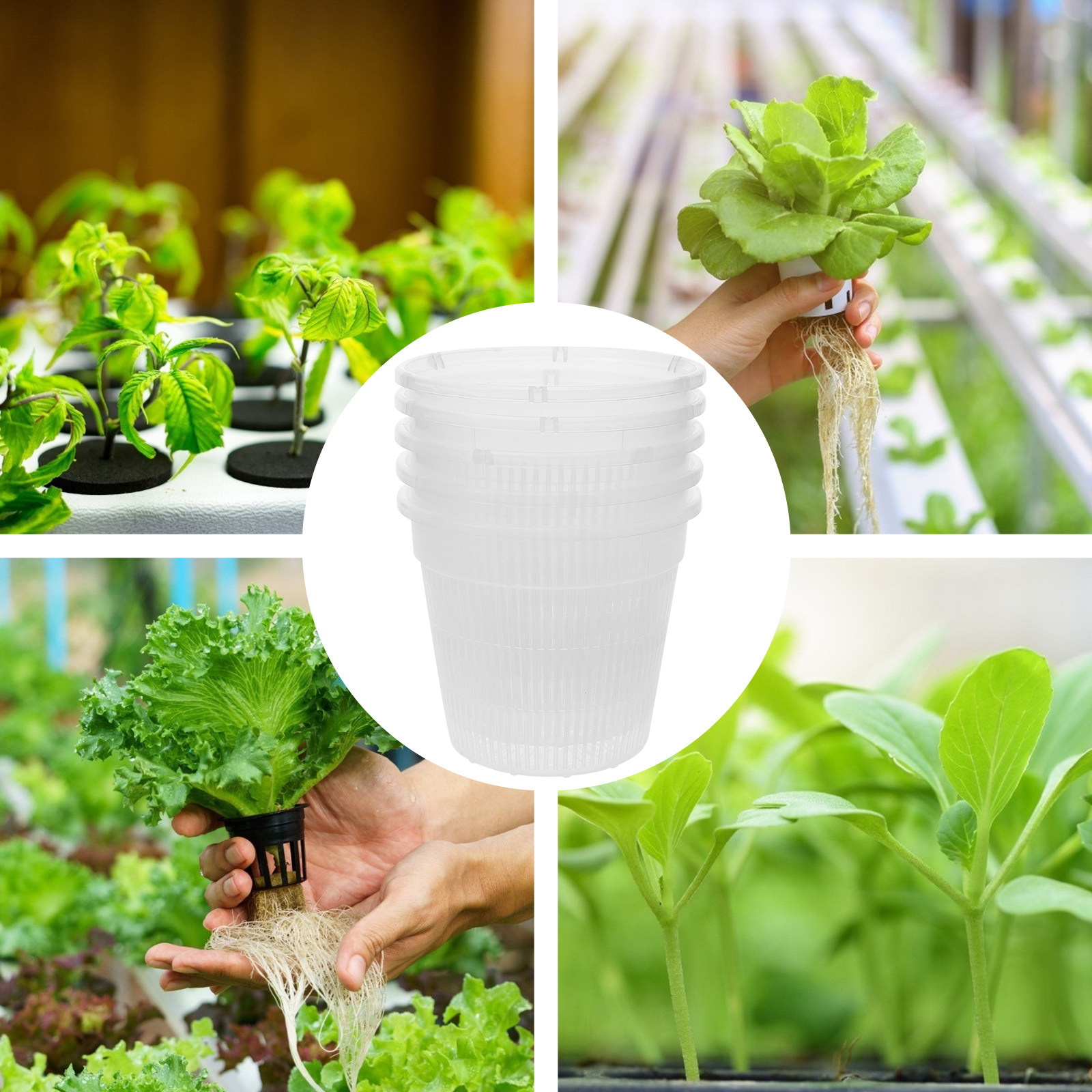 5Pcs Hydroponic Planting Net P - đánh giá và giá Plant Pot