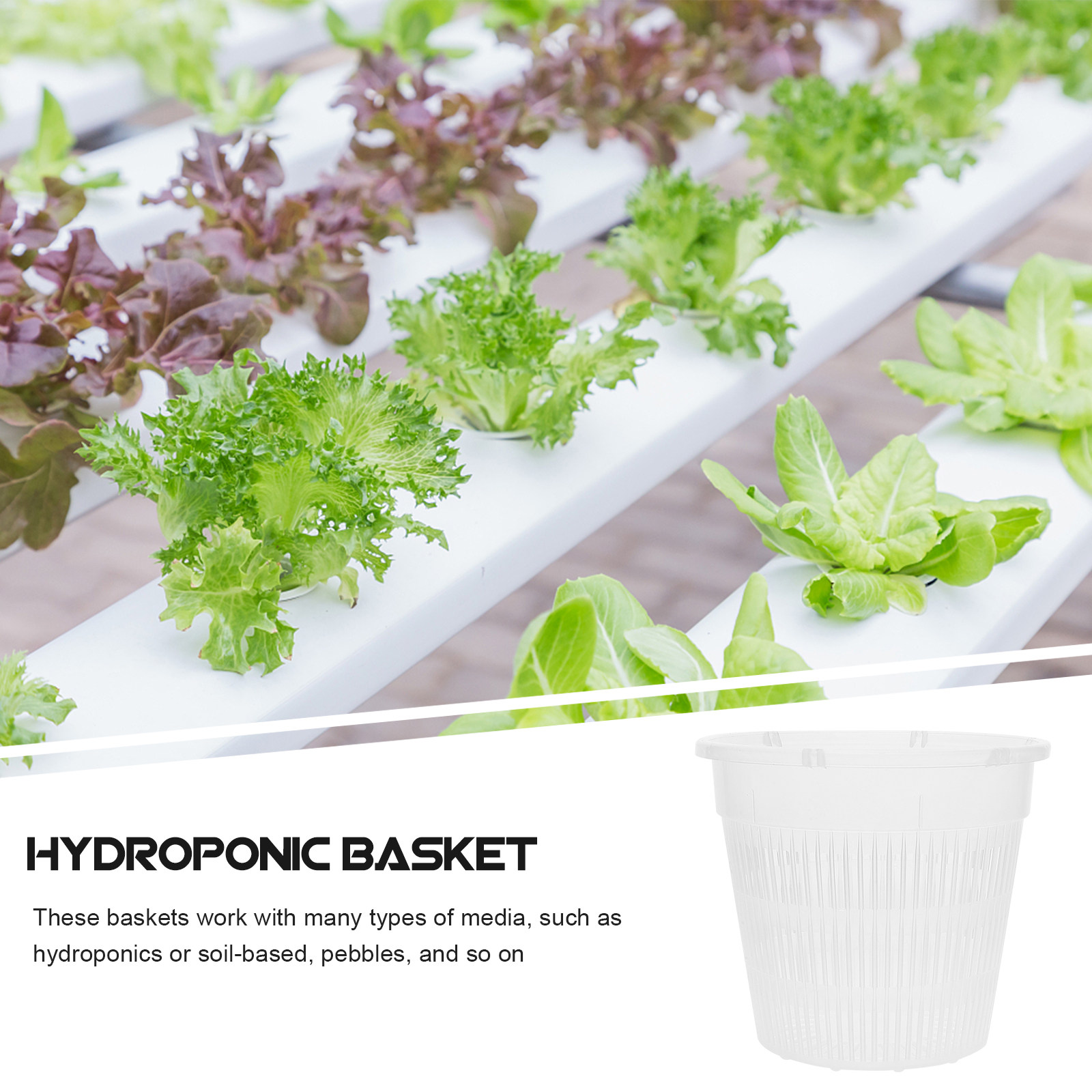 5Pcs Hydroponic Planting Net P - đánh giá và giá Plant Pot