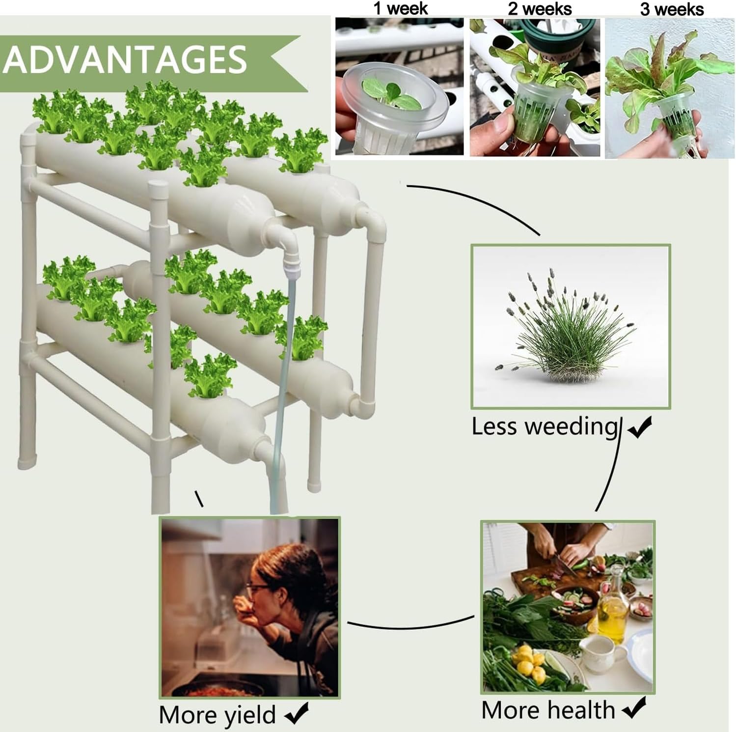 Hydroponic Growing System 20 H - đánh giá và giá Hydroponic Kit