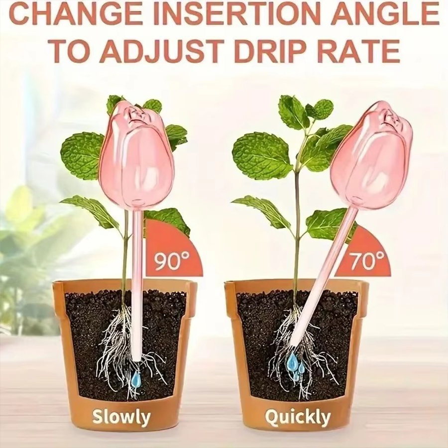 Transparent Thick PET Tulip Sh - đánh giá và giá Self Watering Planter