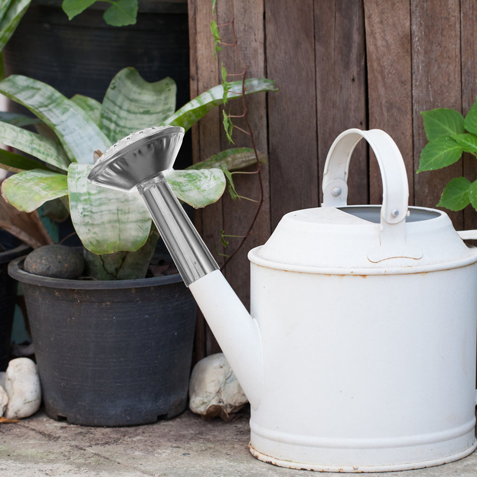 Stainless Steel Water Can Spra - đánh giá và giá Watering Can