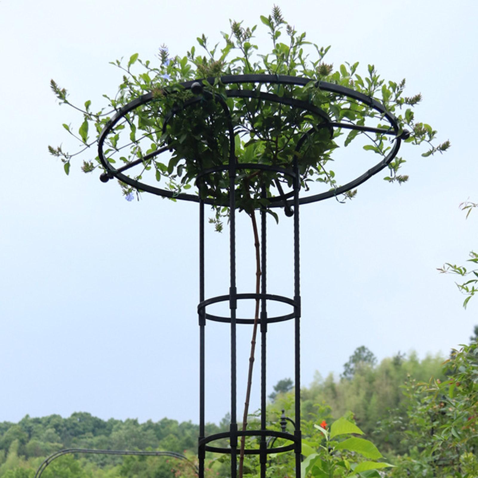 Garden Trellis Umbrella Tower  - đánh giá và giá Vertical Planter