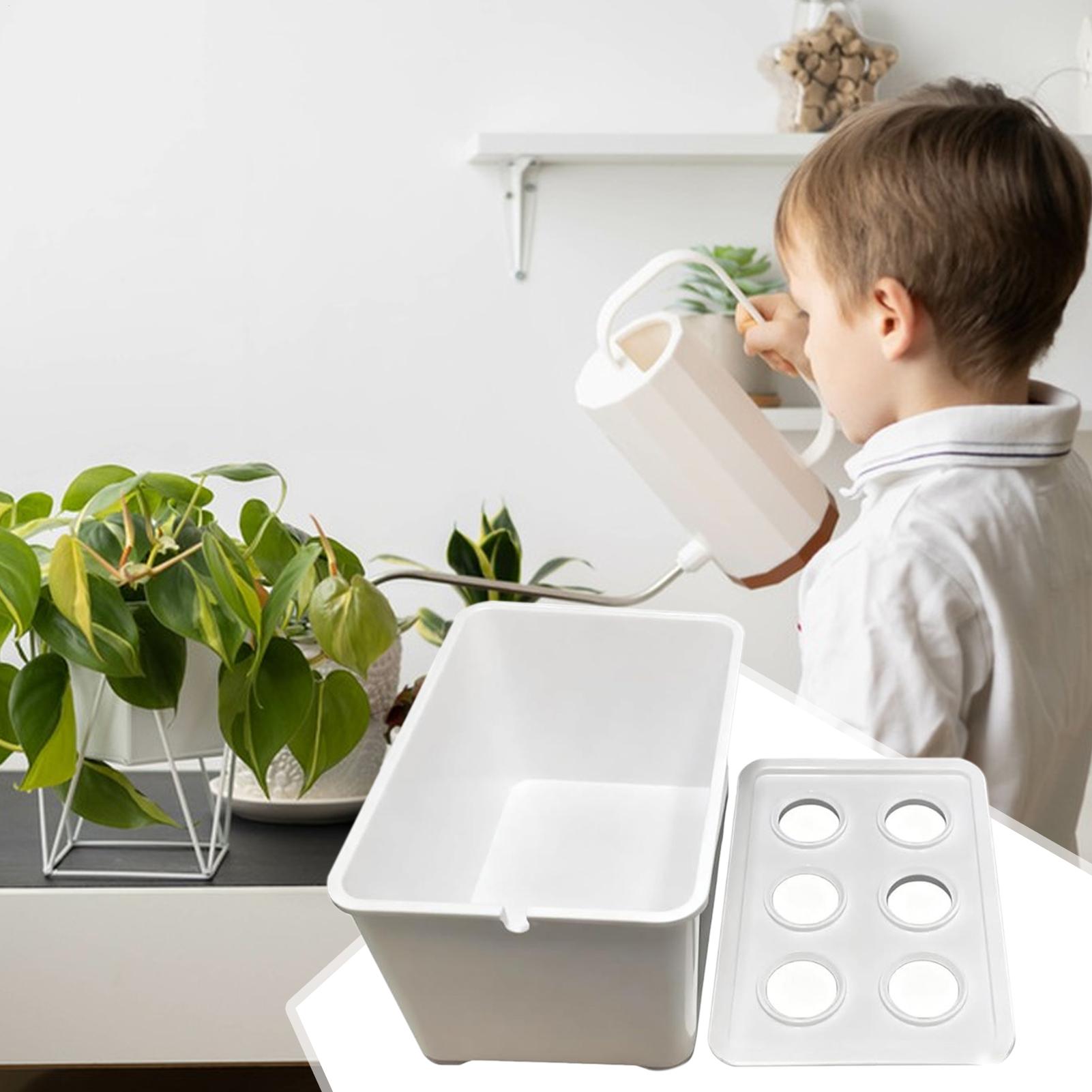 Hydroponic Planting Kit Beginn - đánh giá và giá Hydroponic Kit