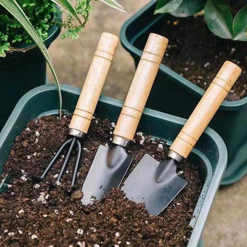 3PC/1Set Mini Gardening Tools  - đánh giá và giá Indoor Herb Garden