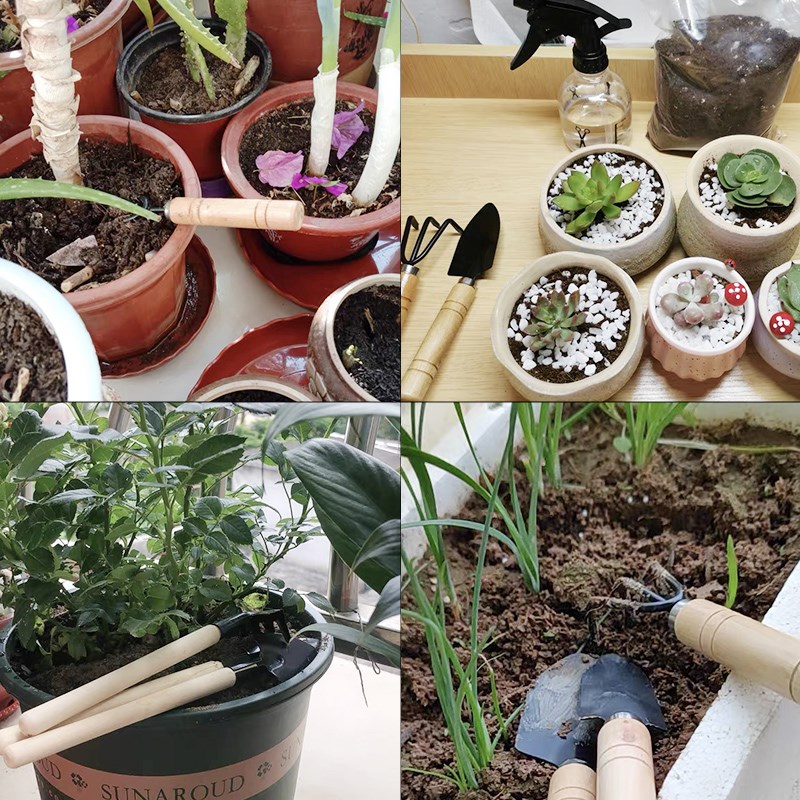 3PC/1Set Mini Gardening Tools  - đánh giá và giá Indoor Herb Garden