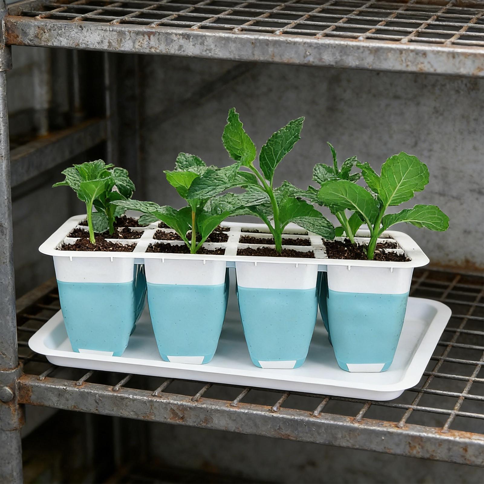 5 Pack Silicone Seed Starter T - đánh giá và giá Seed Starter Tray