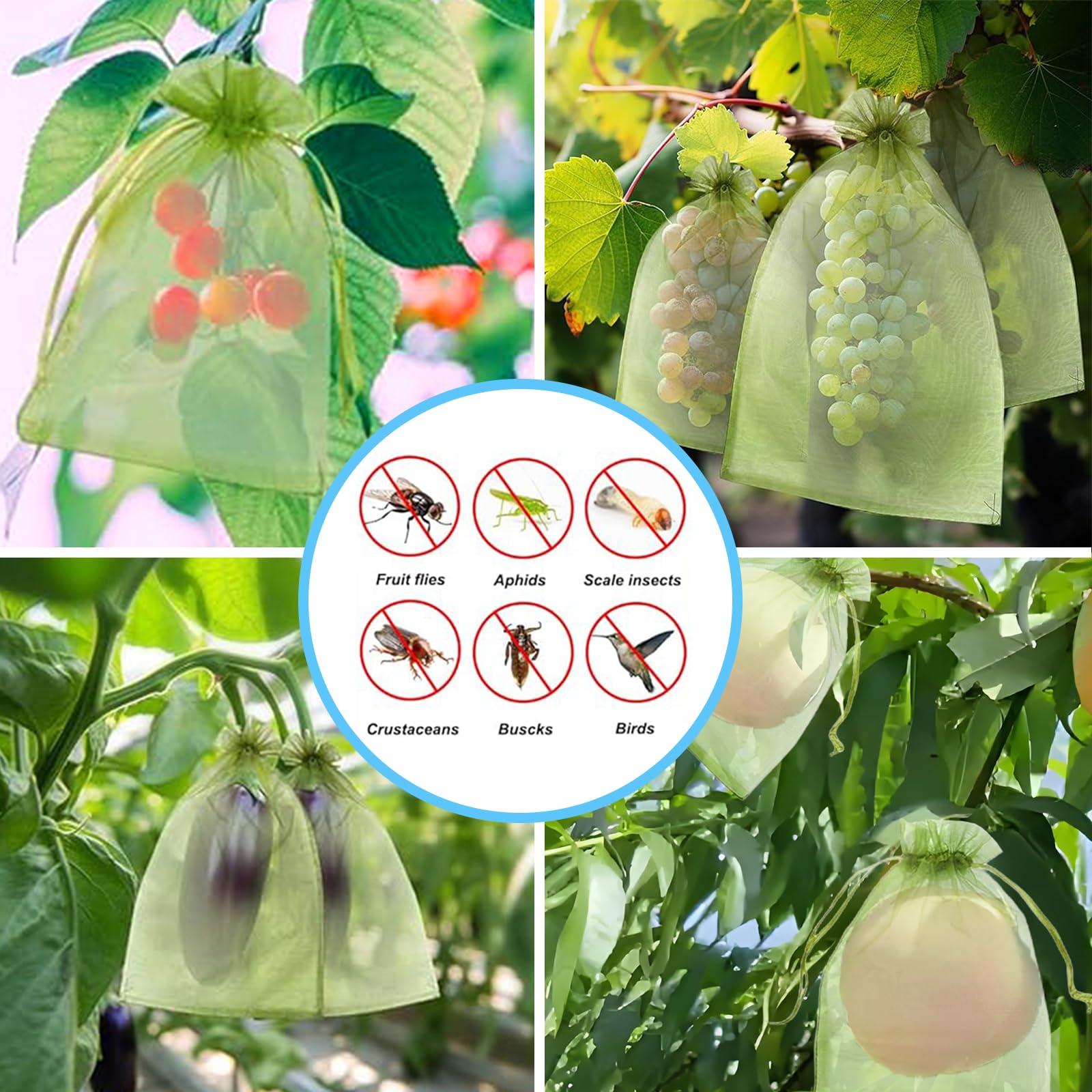 Effective Anti-Bird Netting Fr - đánh giá và giá Grow Bag