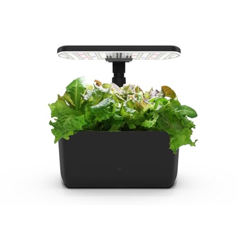 Indoor hydroponic garden for y - đánh giá và giá Indoor Herb Garden