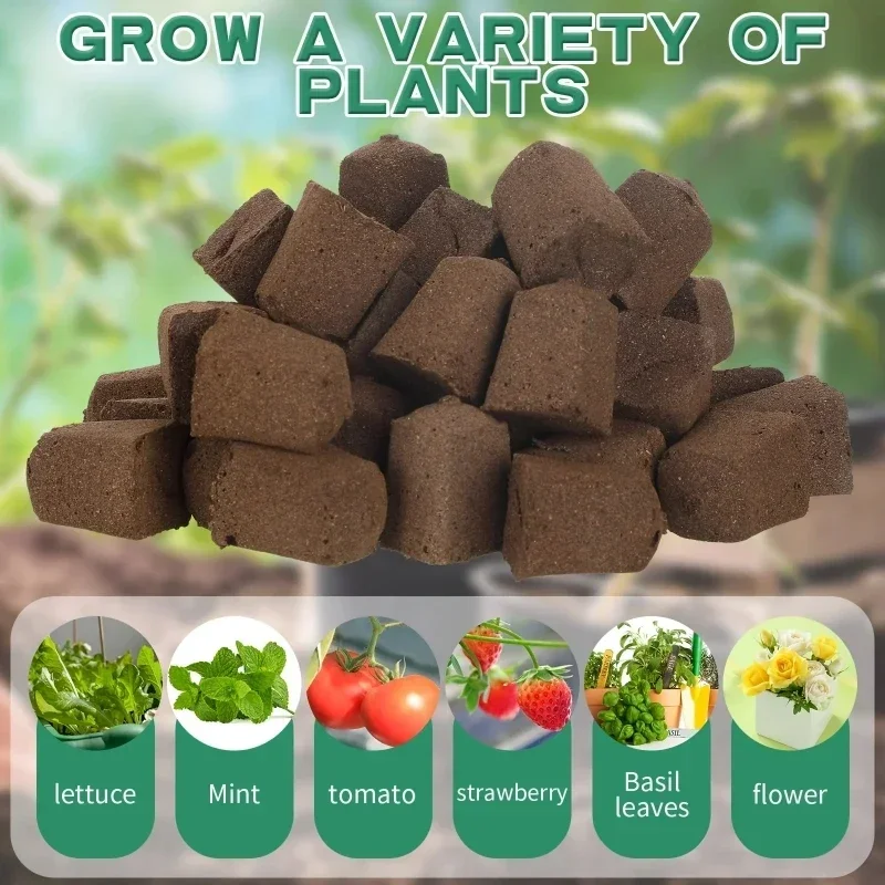 Seedling Starter Sponge Kit fo - đánh giá và giá Hydroponic Kit