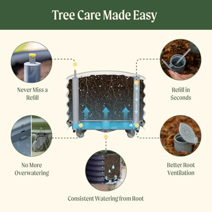Rolling Citrus Tree Planter Ge - đánh giá và giá Self Watering Planter