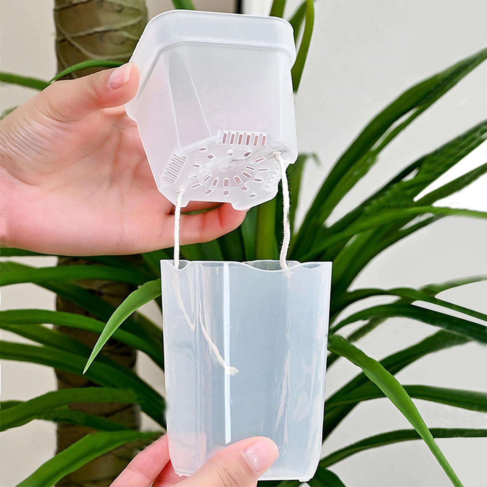 16/32 Pack Self-Watering Plant - đánh giá và giá Self Watering Planter