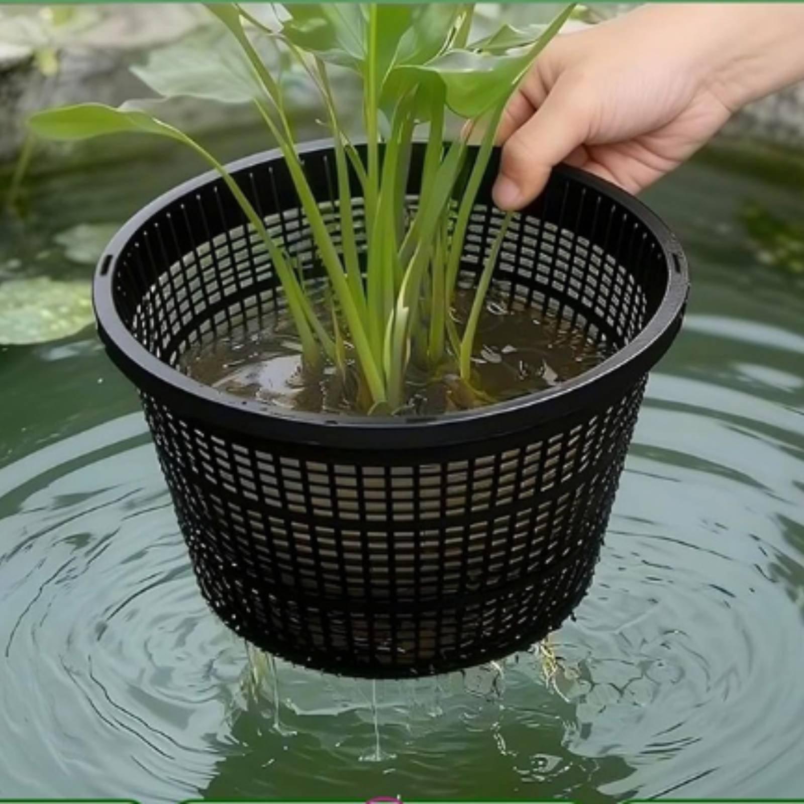 Hydroponic Planter Wide Rim Me - đánh giá và giá Plant Pot