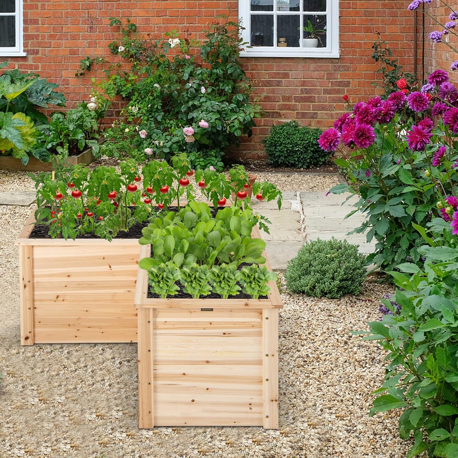 Outdoor Solid Wood Raised Gard - đánh giá và giá Raised Garden Bed