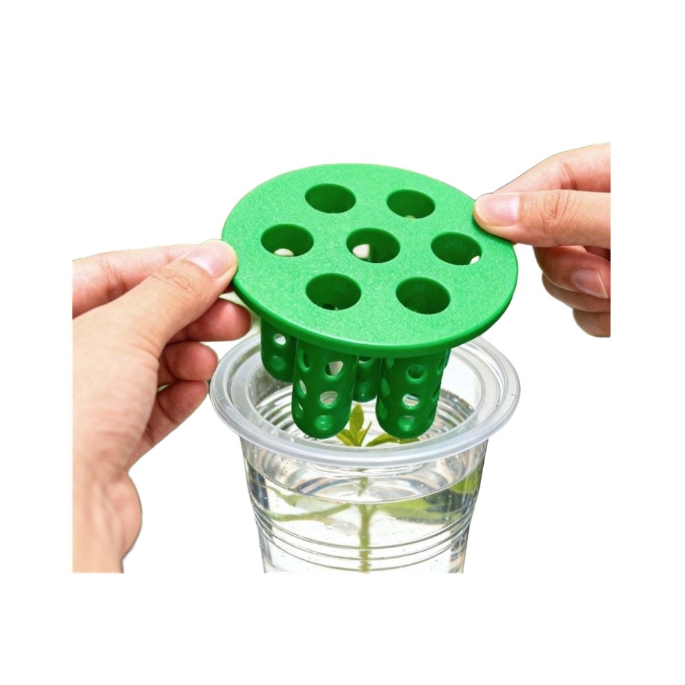4pcs Green Onion Regrower Spro - đánh giá và giá Hydroponic Kit