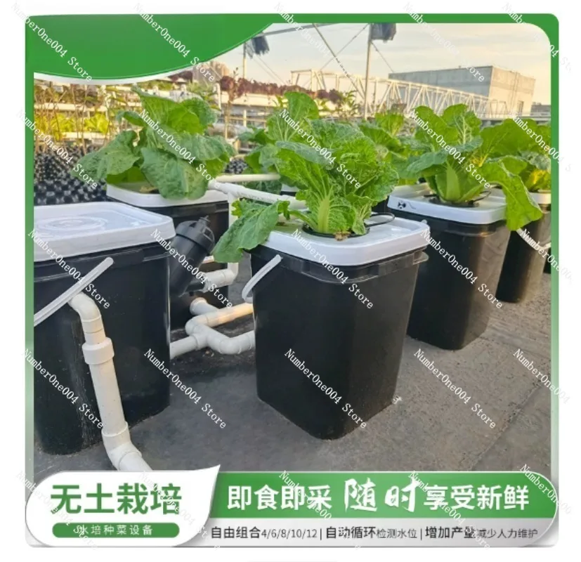 RDWC Home Balcony Hydroponic G - đánh giá và giá Hydroponic Kit