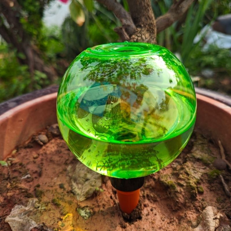 3pcs Large Plant Self Watering - đánh giá và giá Self Watering Planter