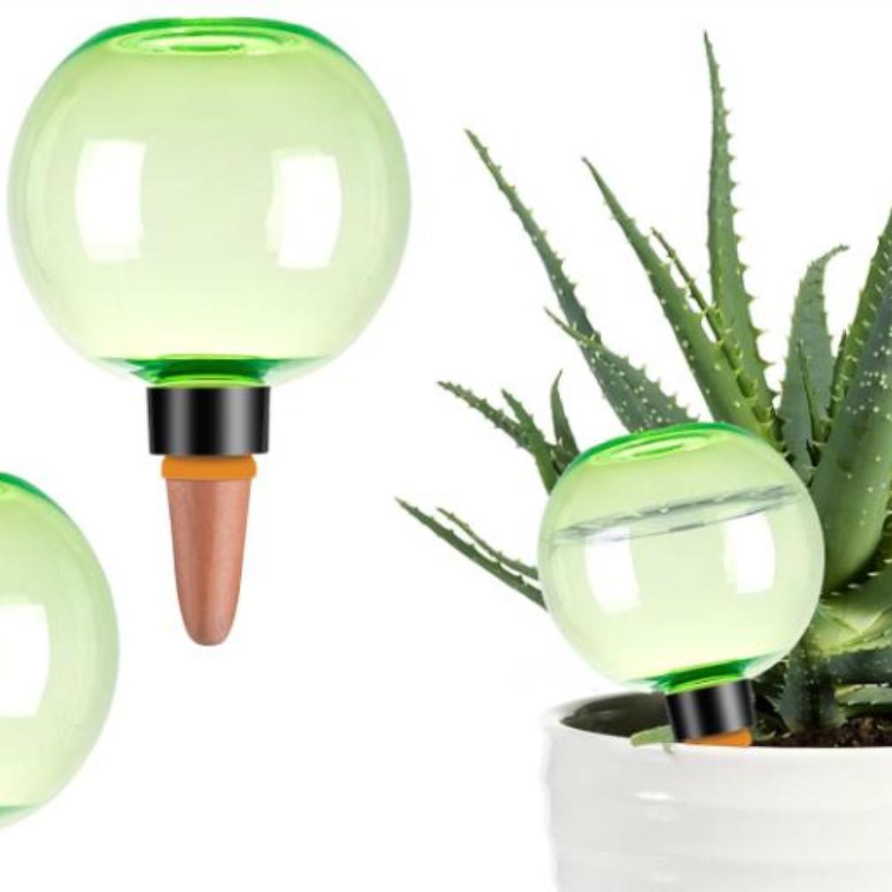 3pcs Large Plant Self Watering - đánh giá và giá Self Watering Planter