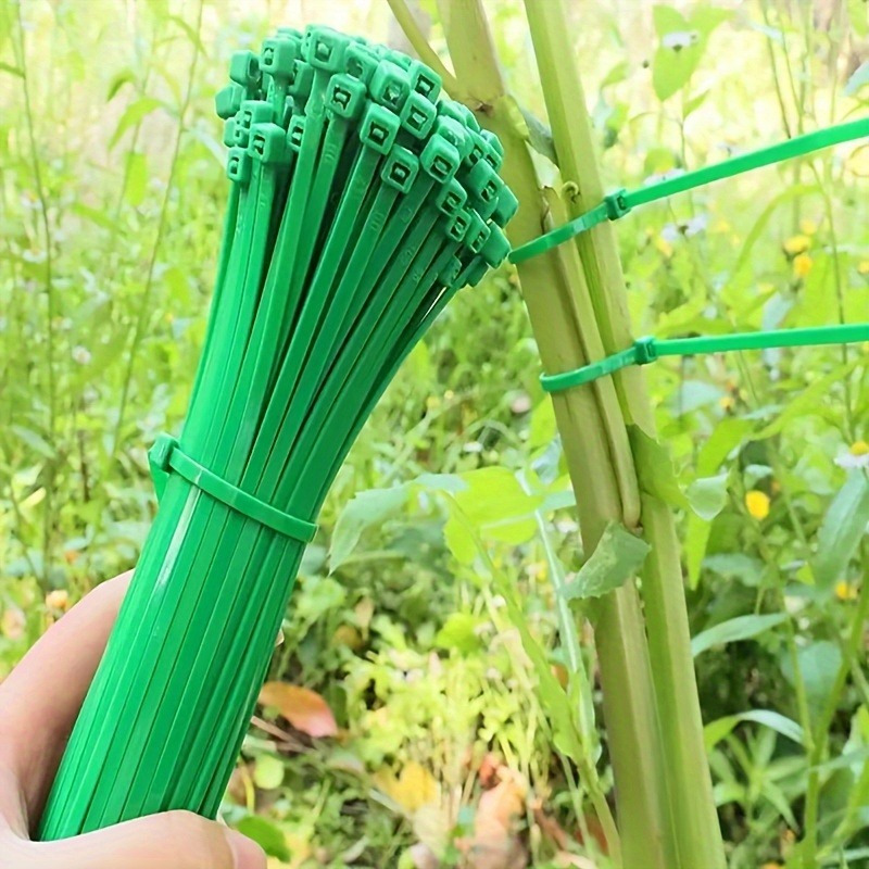 100pcs Garden Cable Tie, Plant - đánh giá và giá Plant Pot