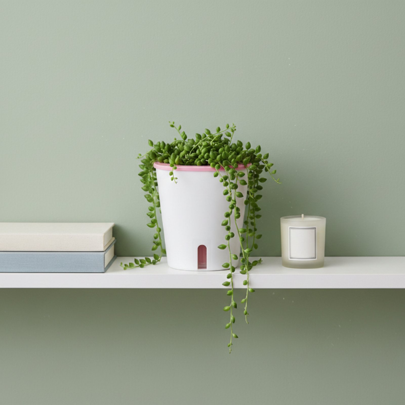 Self Watering Planter Large Si - đánh giá và giá Self Watering Planter