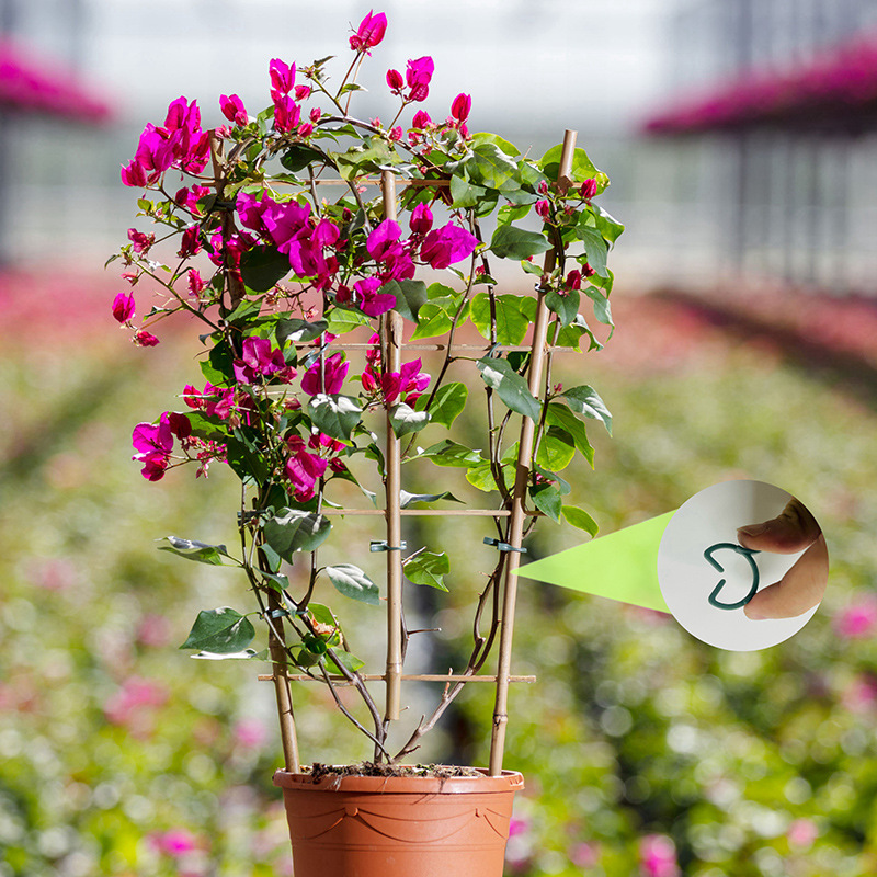 50/100pcs Garden Plant Clips V - đánh giá và giá Vertical Planter