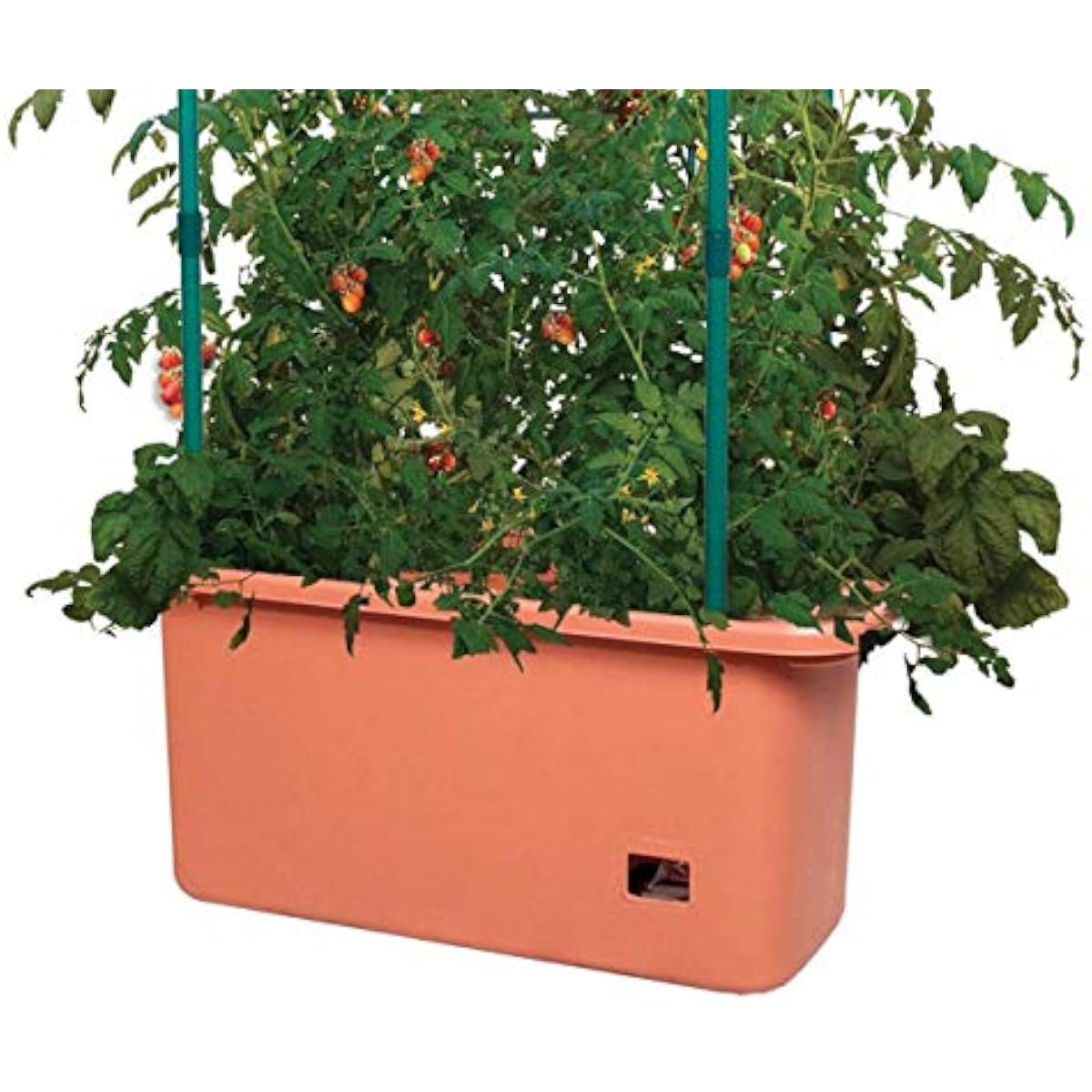 GCTR Tomato Grow System 10 Gal - đánh giá và giá Vertical Planter